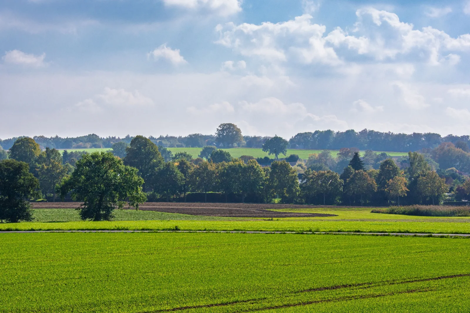 Weite Felder und Bäume im Münsterland bei Coesfeld unter bewölktem Himmel